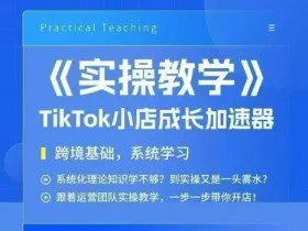 大卖家孵化中心TikTok实操课，TikTok小店成长加速器，跨境基础系统学习，一步一步带你开店