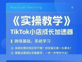 大卖家孵化中心TikTok实操课，TikTok小店成长加速器，跨境基础系统学习，一步一步带你开店