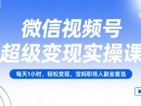 微信视频号超级变现实操课，每天1小时，轻松变现，宝妈职场人副业首选