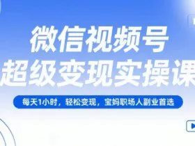 微信视频号超级变现实操课，每天1小时，轻松变现，宝妈职场人副业首选