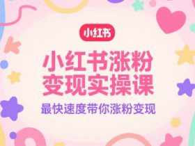 小红书涨粉变现实操课，最快速度带你涨粉变现