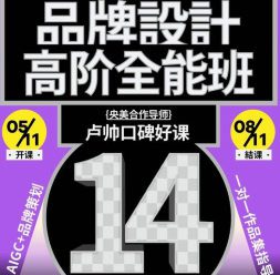 卢帅品牌设计高阶班第14期2025【画质高清有大部分素材】