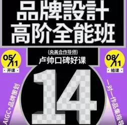 卢帅品牌设计高阶班第14期2025【画质高清有大部分素材】