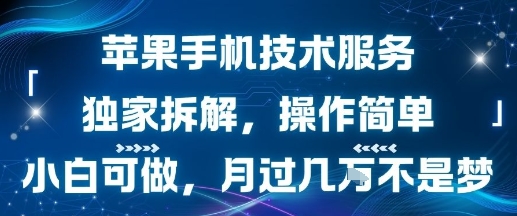 苹果手机技术服务,独家拆解,操作简单,小白可做,月过1W不是梦
