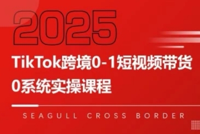 大亿老师TikTok跨境0-1短视频带货,系统拆解TikTok跨境带货全链路,实现跨境可持续盈利
