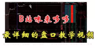 B站咪来哆哆《全网最易上手，盘口实操教学》视频课程