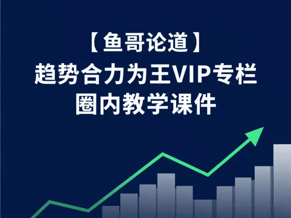 【鱼哥论道】趋势合力为王VIP专栏 圈内教学课件