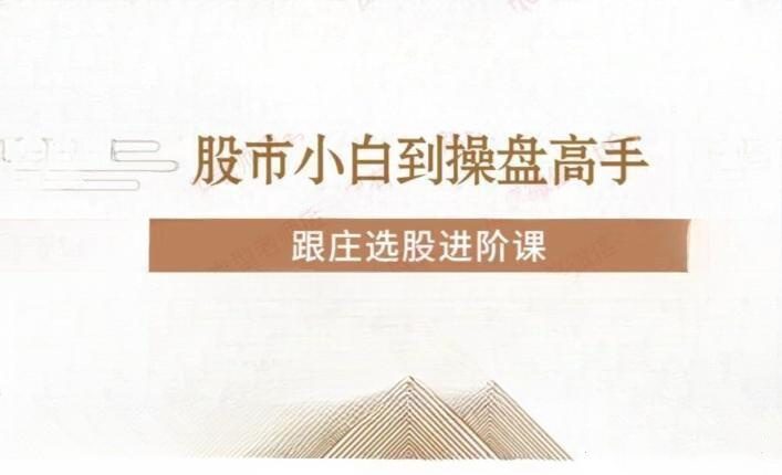 投机大拿跟庄选股进阶课