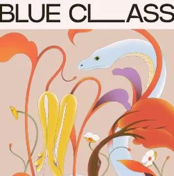 blue class2025商业插画全能课【画质高清只有视频】