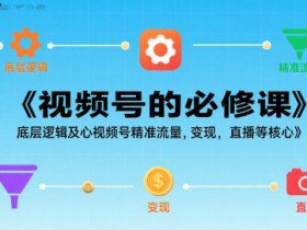 视频号的必修课，视频号的底层逻辑及核心视频号精准流量，变现，直播等核心