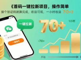 首码一键拉新项目，操作简单，接个验证码就算完成，收益可观， 一小时收益70+【揭秘】
