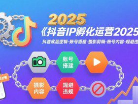 抖音IP孵化运营2025年，抖音底层逻辑-账号搭建-摄影剪辑-账号内容-规避违规