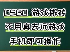游戏搬砖，手机可做，不用电脑，最快当天见收益3张+，副业创业网创兼职【揭秘】