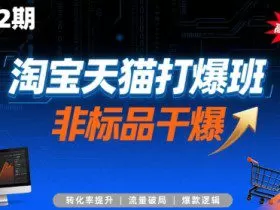 淘宝天猫打爆班原创高阶技术第72期，非标品干爆