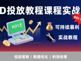 AD投放教程课程实战课，实现广告ROI300%+可持续暴利