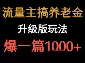 流量主之养老金升级版玩法  爆一篇收益1k+