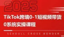 大亿老师TikTok跨境0-1短视频带货，系统拆解TikTok跨境带货全链路，实现跨境可持续盈利