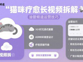 猫咪疗愈长视频拆解 &油管频道运营技巧