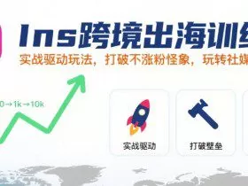 Ins跨境出海训练营，实战驱动玩法，打破不涨粉怪象，玩转社媒自然流量