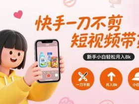 快手一刀不剪短视频带货，新手小白轻松月入8k
