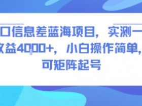 风口信息差蓝海项目，实测一天收益4k+，小白操作简单，可矩阵起号