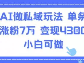 用AI做私域玩法，单条视频涨粉7W变现4.3k，小白可做