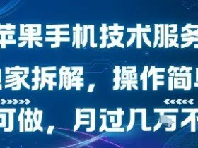 苹果手机技术服务，独家拆解，操作简单，小白可做，月过1W不是梦