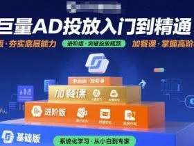 巨量AD投放入门到精通，基础版+进阶版+加餐课