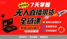 李哥·无人直播带货全链防封实战课，7天掌握高转化直播技术，实现单场GMV破万可持续模型