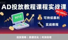 李亚老师·AD投放教程课程实战课，实现广告ROI300%+可持续暴利
