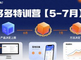 多多特训营【5-7月】产品决定上限，方法决定下限，各种玩法技巧落地实操