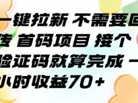 一键拉新 不需要回传 首码项目 接个验证码就算完成 一小时收益70+【揭秘】