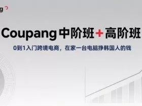 Coupang中阶班+高阶班，0到1入门跨境电商，在家一台电脑挣韩国人的钱
