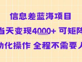 信息差蓝海项目当天变现多张 可矩阵自动化操作 全程不需要人工