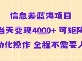 信息差蓝海项目当天变现多张 可矩阵自动化操作 全程不需要人工
