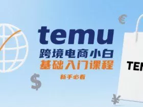 temu跨境电商小白基础入门课程，新手必看
