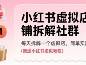 小红书虚拟店铺拆解社群，每天拆解一个虚拟店，简单实用(赠送小红书虚拟教程)