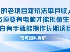 老项目新玩法单月收入2W小白有手就能操作长期项目