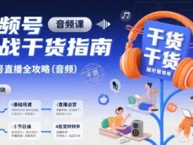 视频号实战干货指南，视频号直播全攻略（音频）