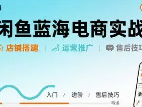 闲鱼蓝海电商实战，店铺搭建运营售后全流程