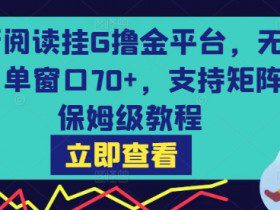 最新阅读挂G撸金平台，无风控，单窗口70+，支持矩阵，保姆级教程【揭秘】