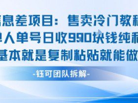 信息差项目：售卖冷门教程单人单号日收9张纯利基本就是复制粘贴就能做