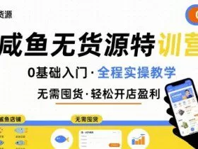 无货源特训营，0基础带你玩转咸鱼无货源