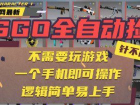 CSGO自动捡漏项目，最新独家玩法，一个手机即可操作，新手小白轻松月入1W+，操作简单易上手【揭秘】