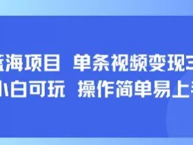 8月AI蓝海项目，单条视频变现1k+ 小白可玩 操作简单易上手