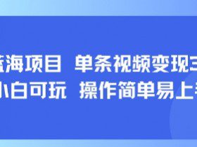 8月AI蓝海项目，单条视频变现1k+ 小白可玩 操作简单易上手