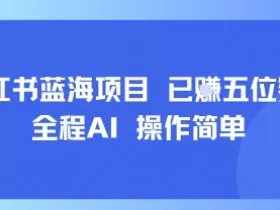 小红书蓝海项目，全程AI，操作简单，已挣五位数