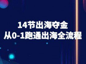 14节出海夺金从0-1跑通出海全流程-跨境电商教程
