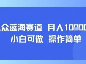 小众蓝海赛道，小白可做，操作简单，每天30分钟，月入1W+
