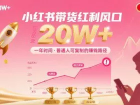 一年时间靠小红书带货项目年入20w+，最不能错的大红利项目
